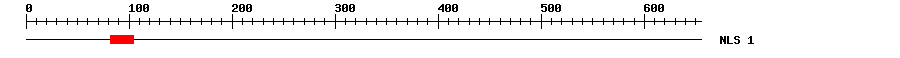 NLS