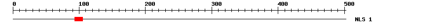 NLS