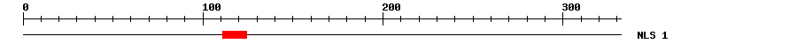 NLS