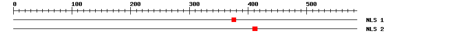 NLS