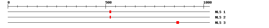 NLS