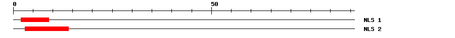 NLS