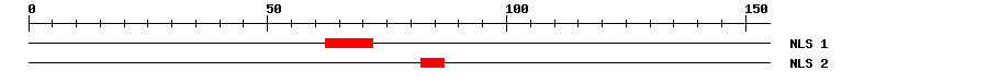 NLS
