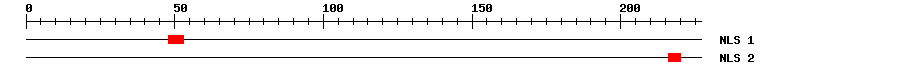 NLS