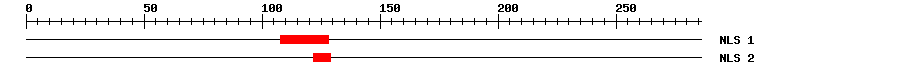 NLS
