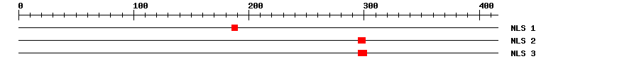 NLS