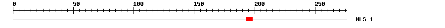 NLS
