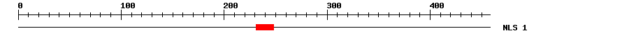 NLS