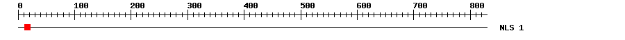 NLS