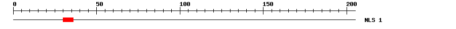 NLS