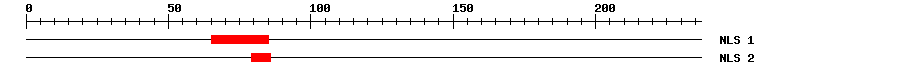 NLS