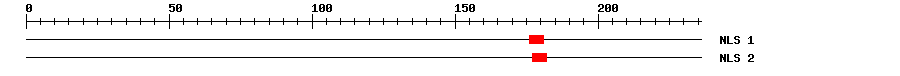 NLS