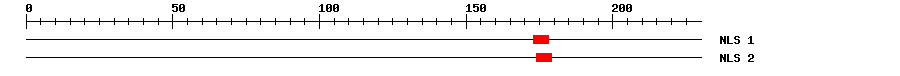 NLS