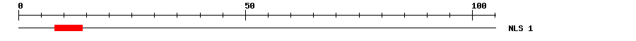 NLS