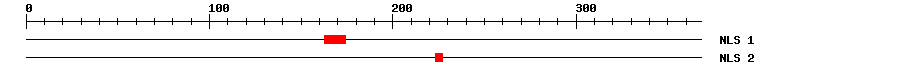 NLS