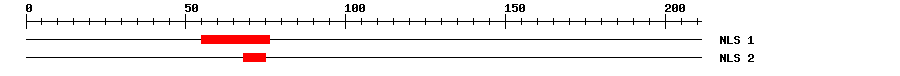 NLS