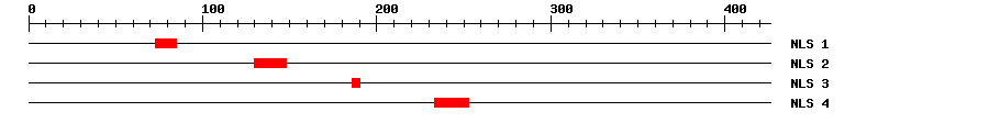 NLS