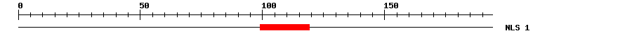NLS