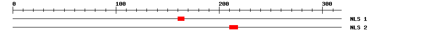 NLS