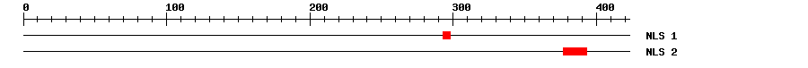 NLS