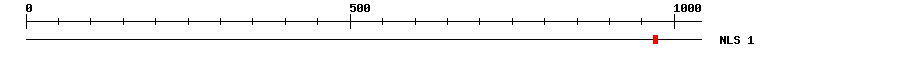 NLS