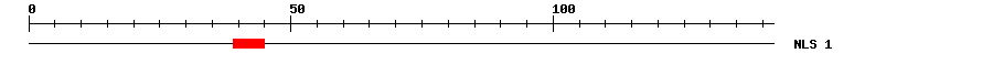 NLS