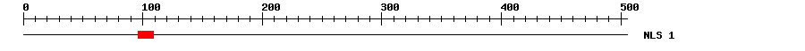NLS