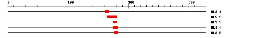 NLS