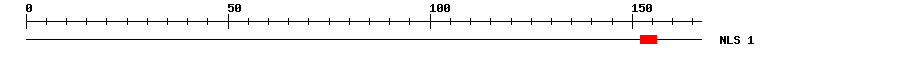 NLS