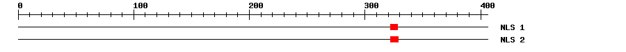 NLS