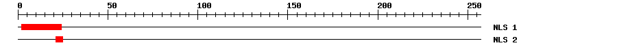 NLS