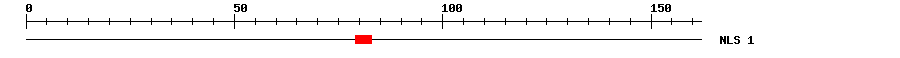 NLS