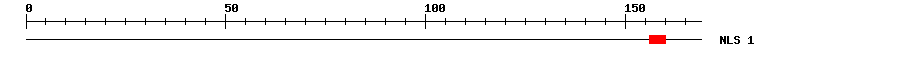 NLS