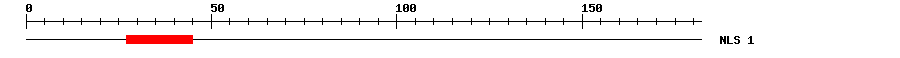 NLS