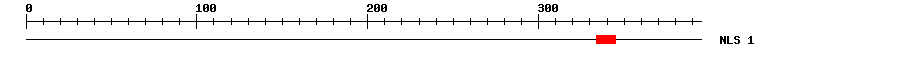 NLS