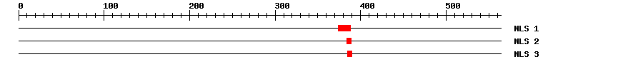 NLS
