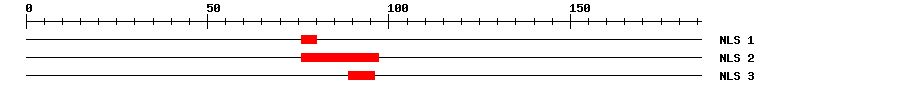 NLS