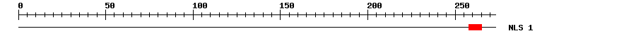 NLS