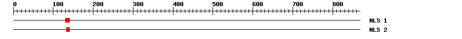 NLS