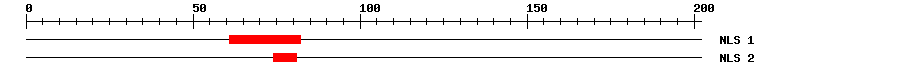 NLS