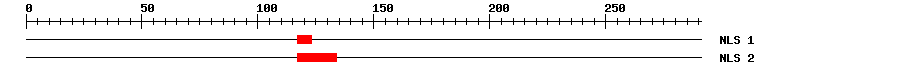 NLS