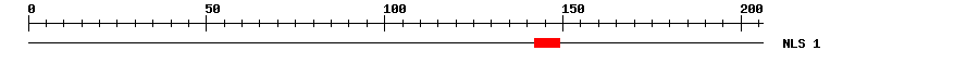 NLS