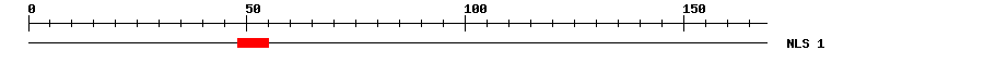 NLS