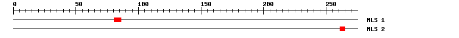 NLS