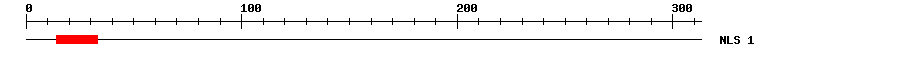 NLS