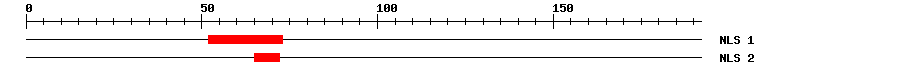 NLS