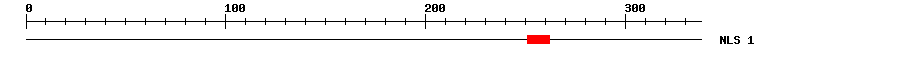NLS