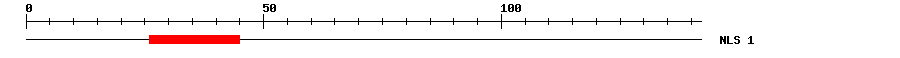 NLS