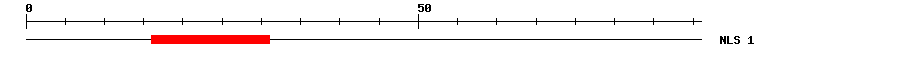 NLS