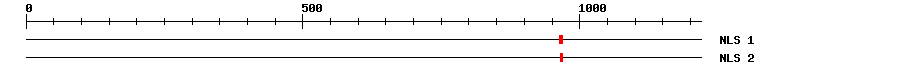 NLS